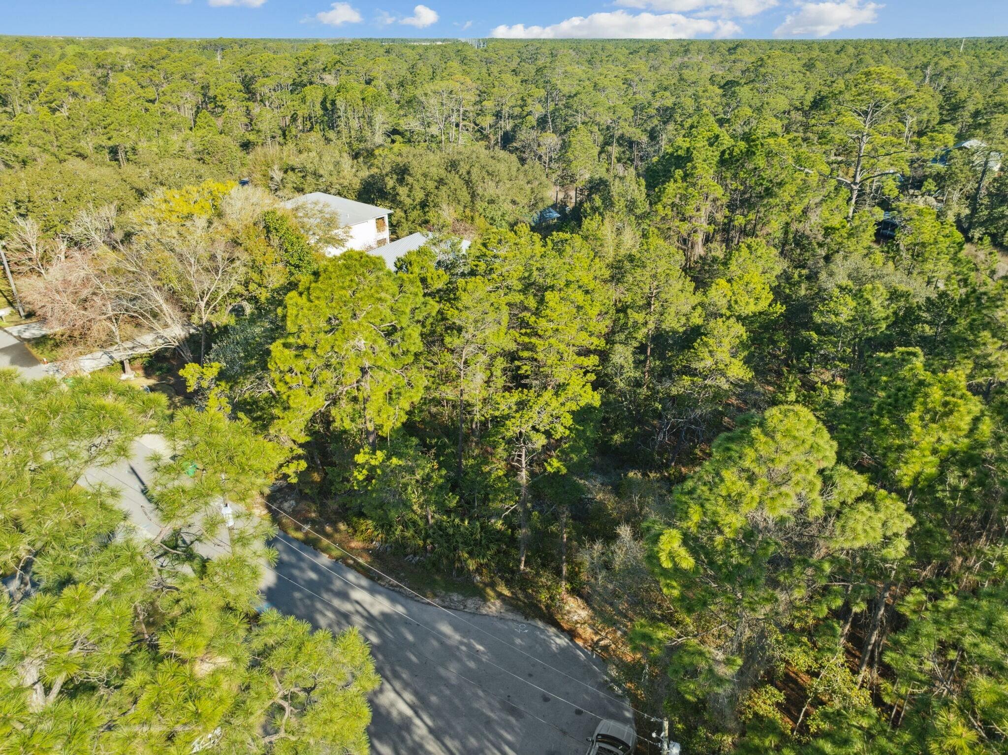 Lot 5 West Shore Dr Inlet Beach Inlet Beach, FL 32461 - Photo 19 of 32 a view of a yard with plants