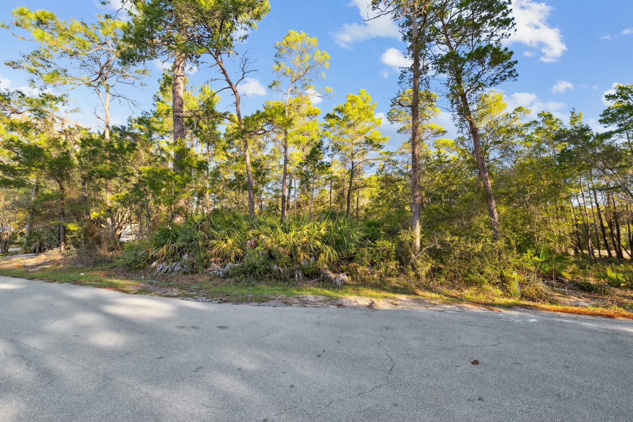 Lot 5 West Shore Dr Inlet Beach Inlet Beach, FL 32461 - Photo 22 of 32 a view of under tree next to a building
