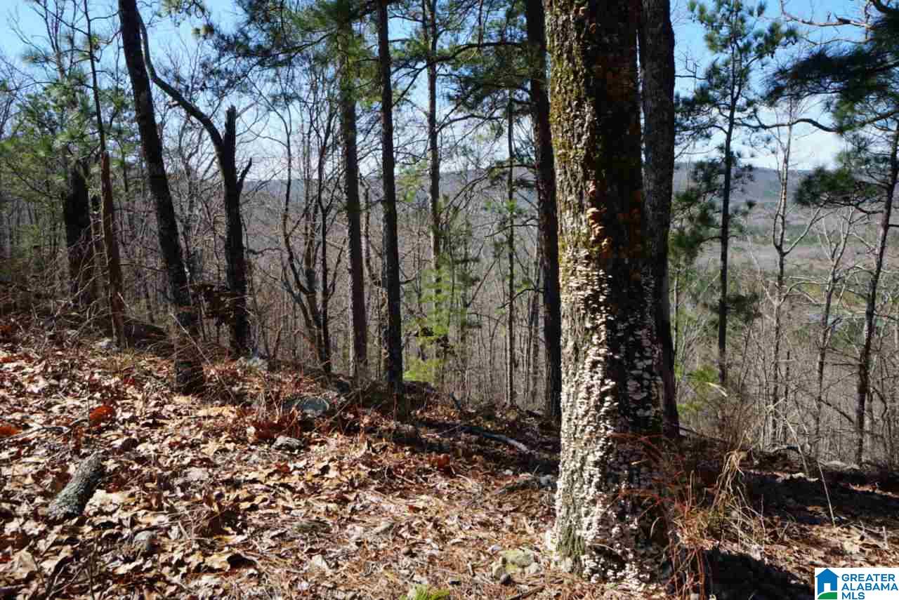 Mystic Valley View, Unit 1 Sterrett, AL 35147 - Photo 23 of 33