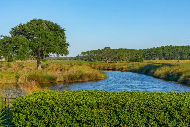 $6,999,000 | 250 Furman Farm Place, Charleston, SC 29492