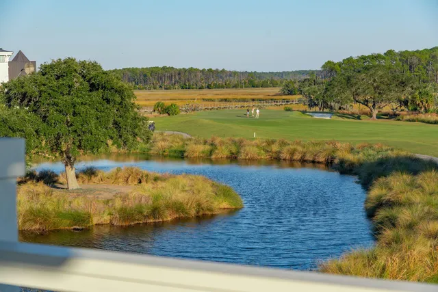 $6,999,000 | 250 Furman Farm Place, Charleston, SC 29492