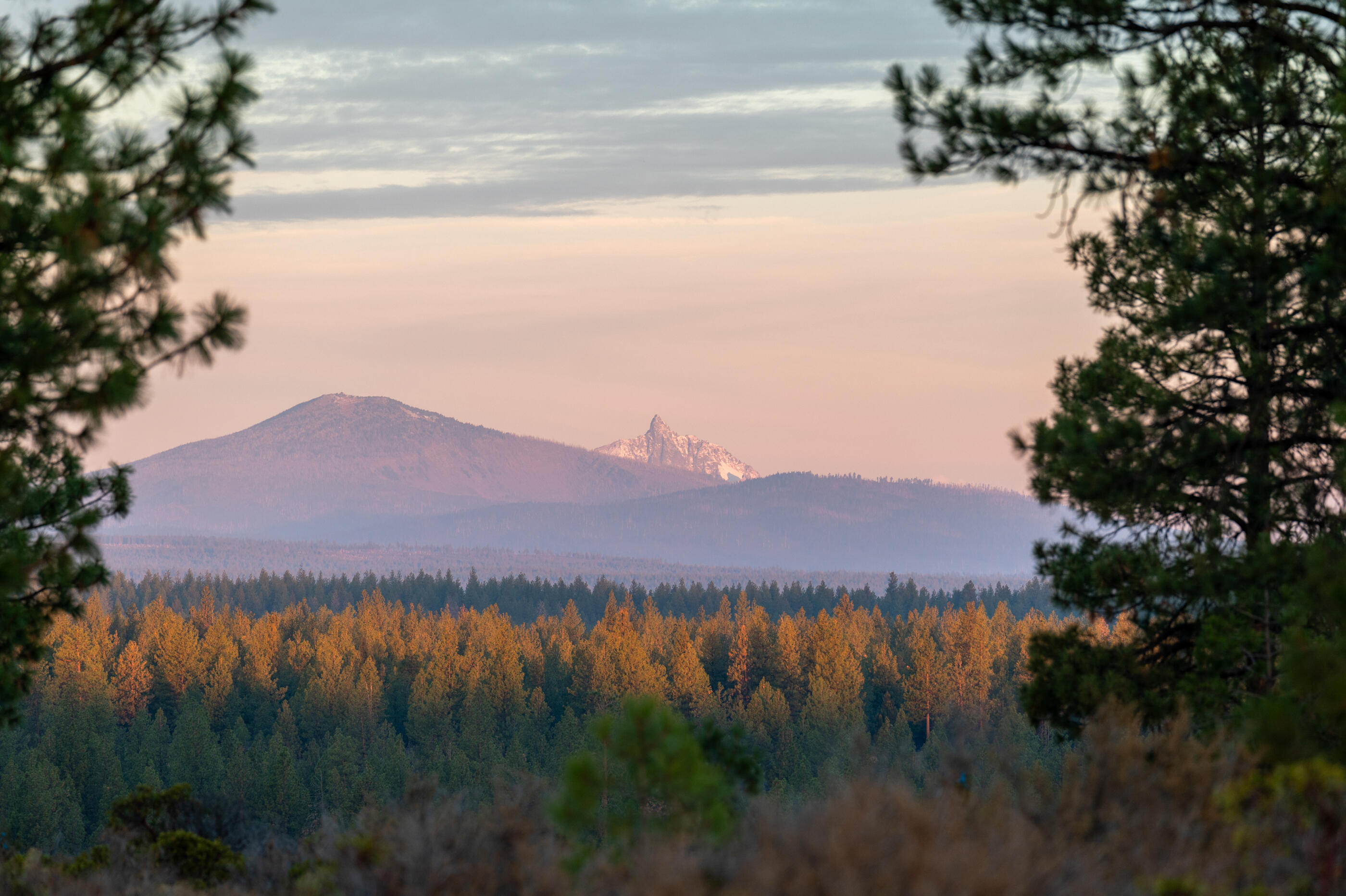 62495 Huntsman Loop Bend, OR 97703 - Photo 26 of 32 22