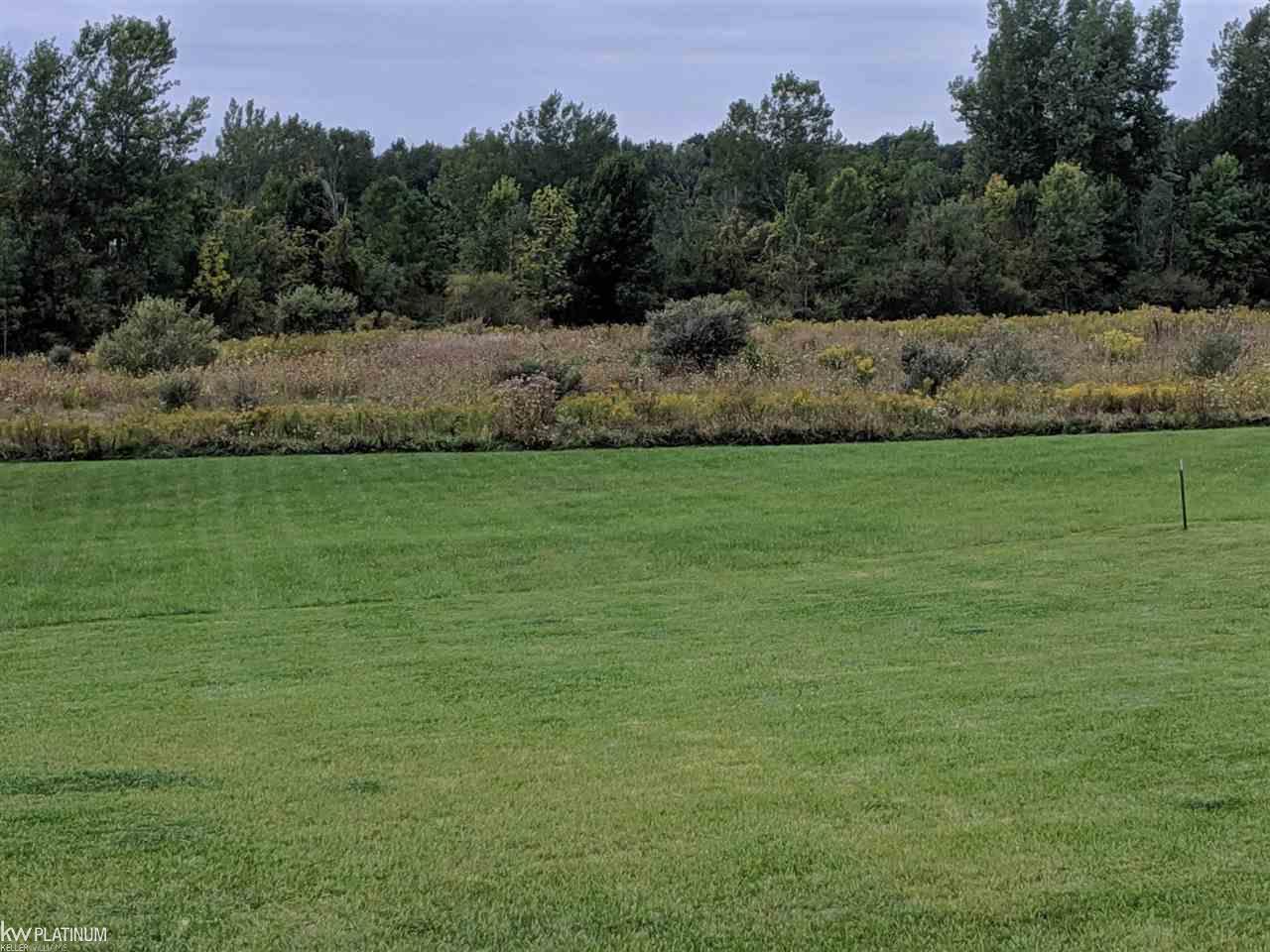 8945 Willits Road Mayville, MI 48744 - Photo 24 of 24 31395242-24.JPG