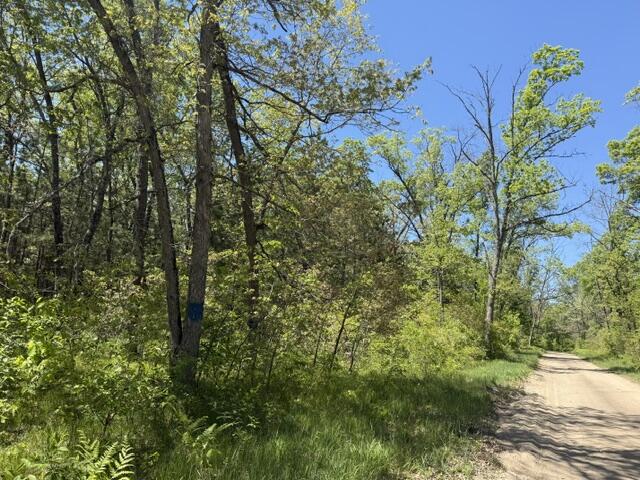 Parcel B West Usfs 5196 Baldwin, MI 49304 - Photo 4 of 6