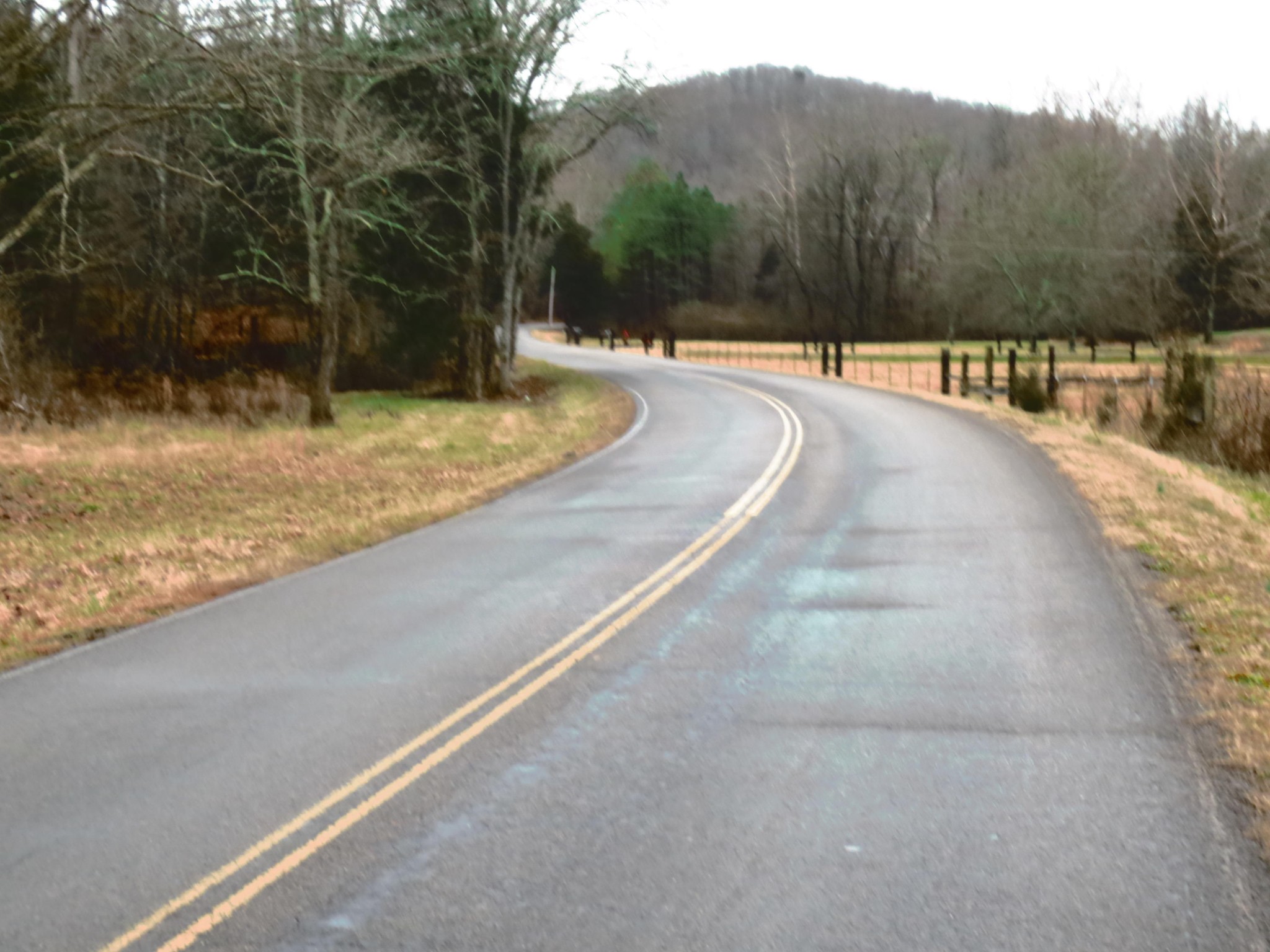 1 County Road 181 Decatur, TN 37322 - Photo 1 of 8