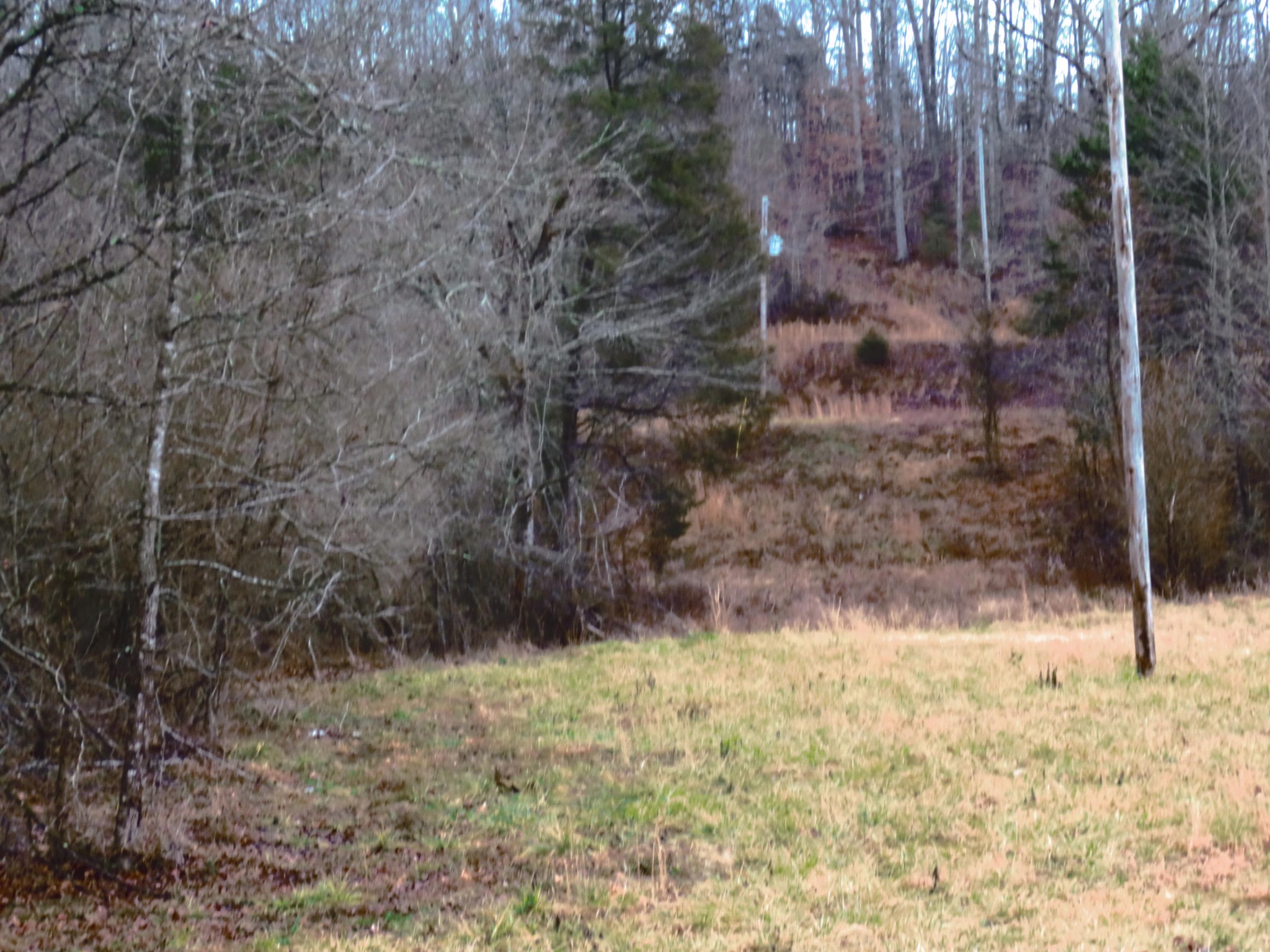 1 County Road 181 Decatur, TN 37322 - Photo 2 of 8