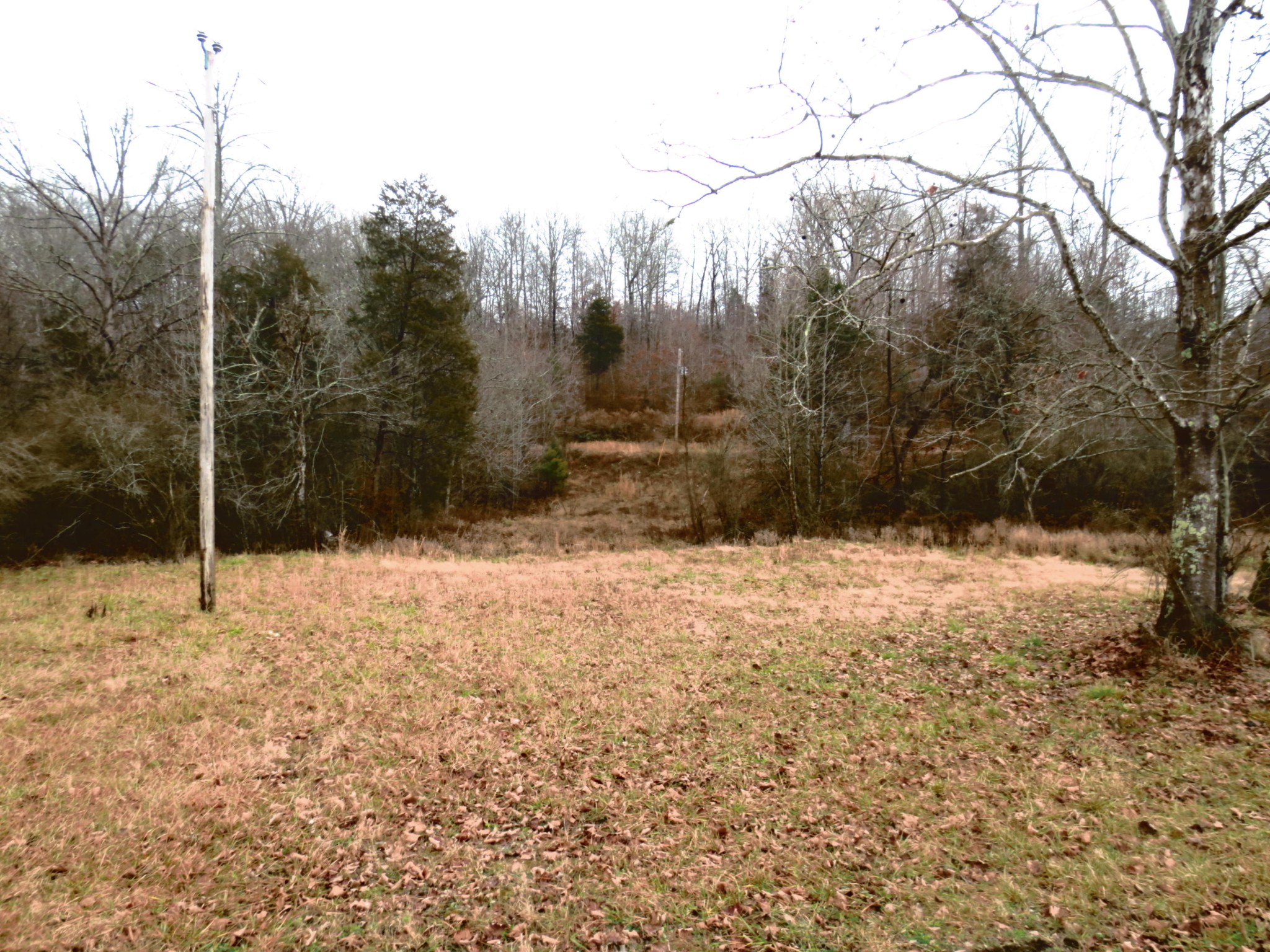 1 County Road 181 Decatur, TN 37322 - Photo 3 of 8