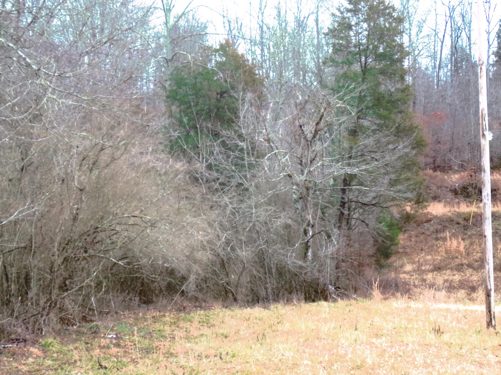 1 County Road 181 Decatur, TN 37322 - Photo 8 of 8