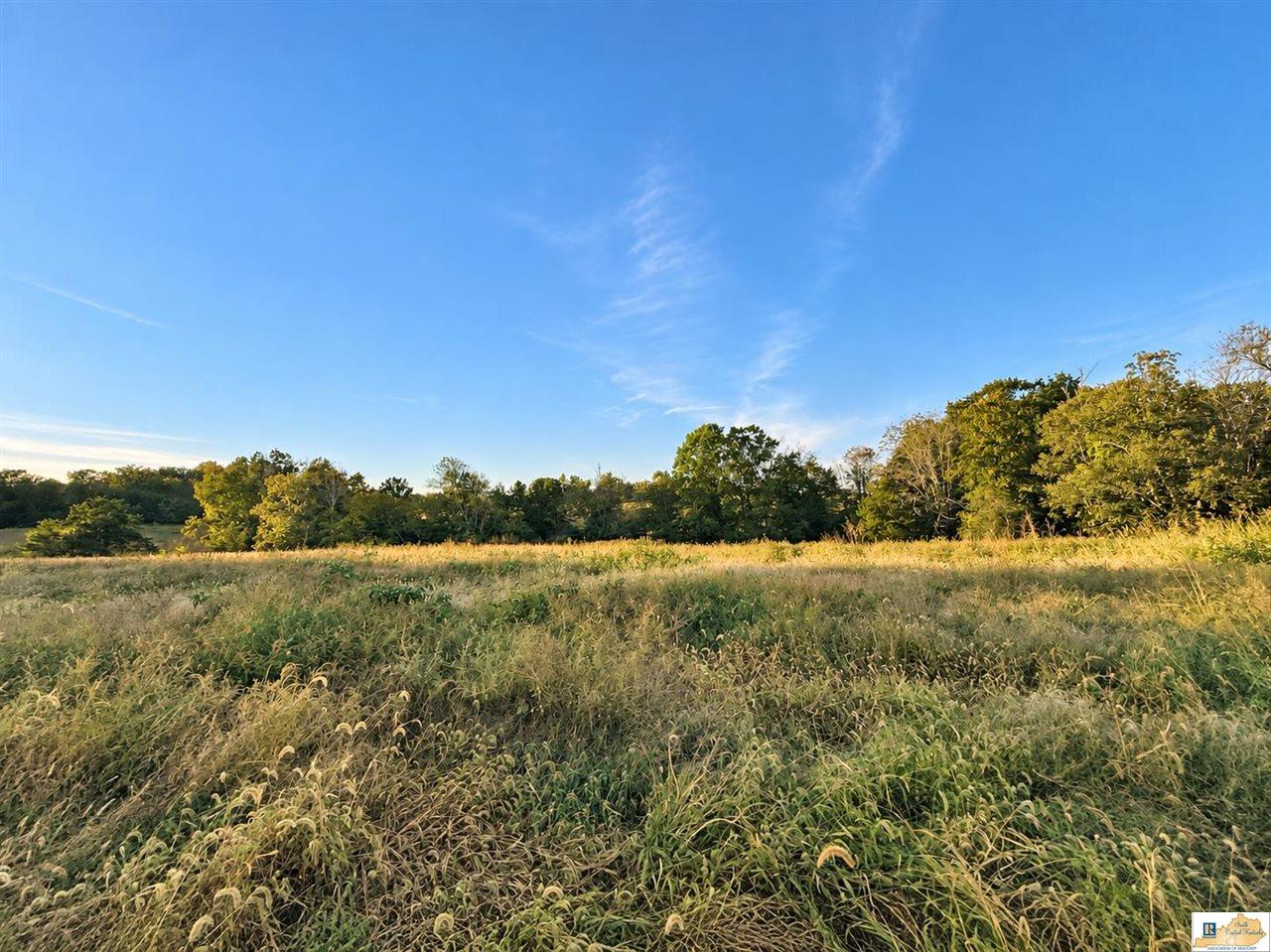 0 Stanley Syra Road Edmonton, KY 42129 - Photo 4 of 28 Gallery Image 4