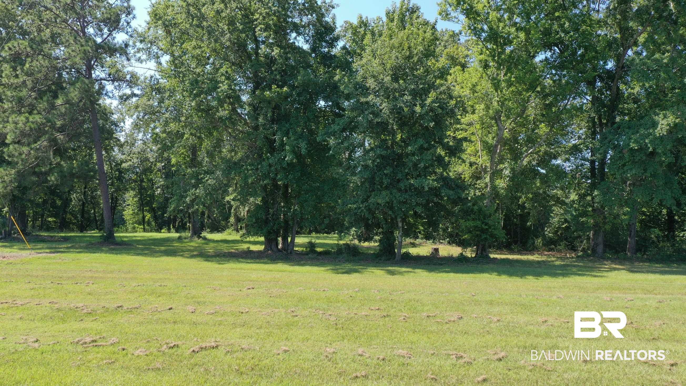 Lot 21 Judge Greene Place Road Greensboro, AL 36744 - Photo 9 of 50