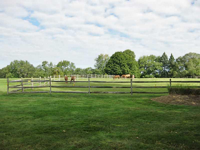 346 Germain Road Wexford, PA 15090 - Photo 20 of 20 View. Relax on your back patio and watch the graceful horses from the neighboring yard.