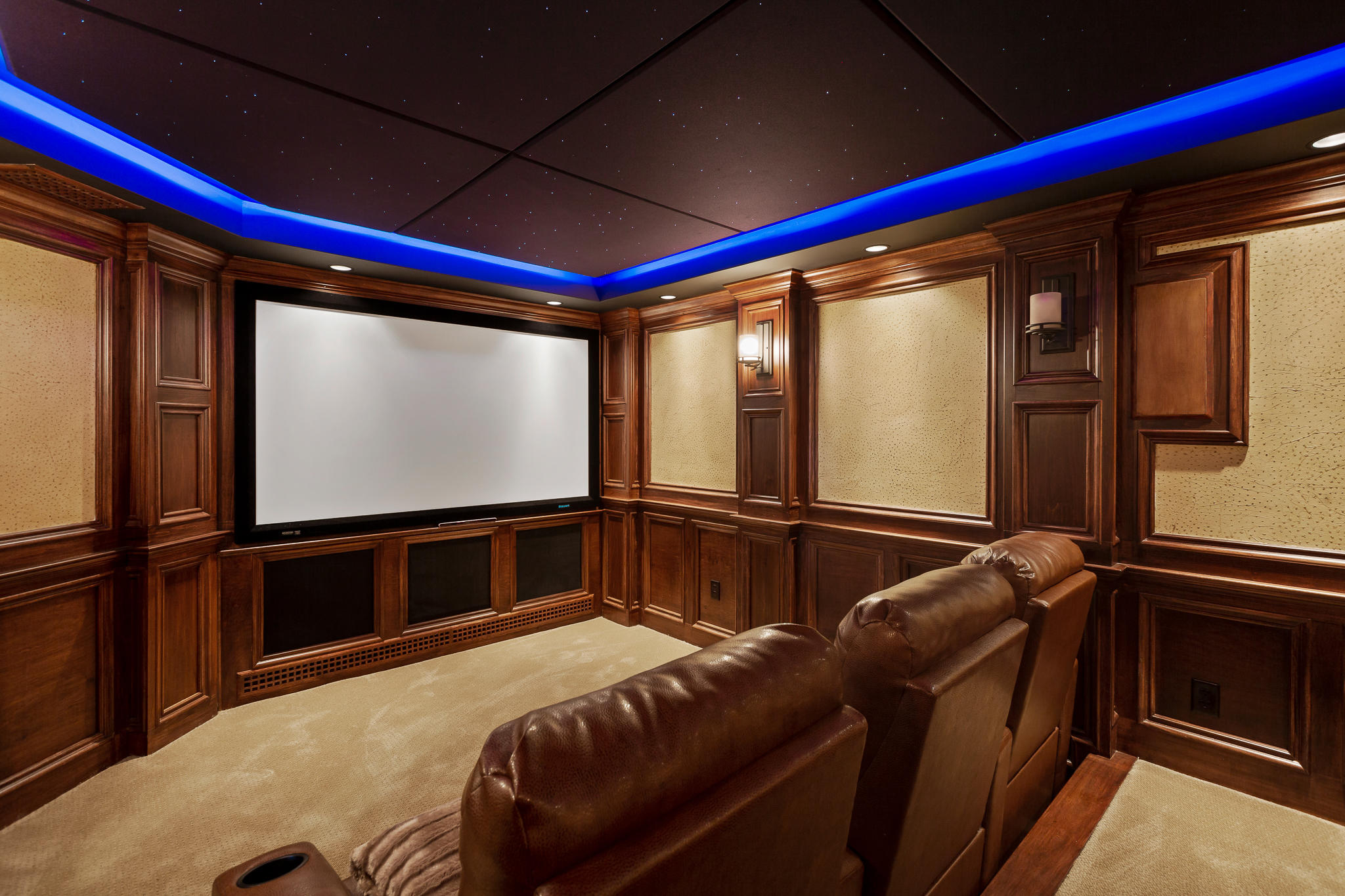 330 North Crest Road Chattanooga, TN 37404 - Photo 43 of 73 MOVIE THEATER WIDE SCREEN