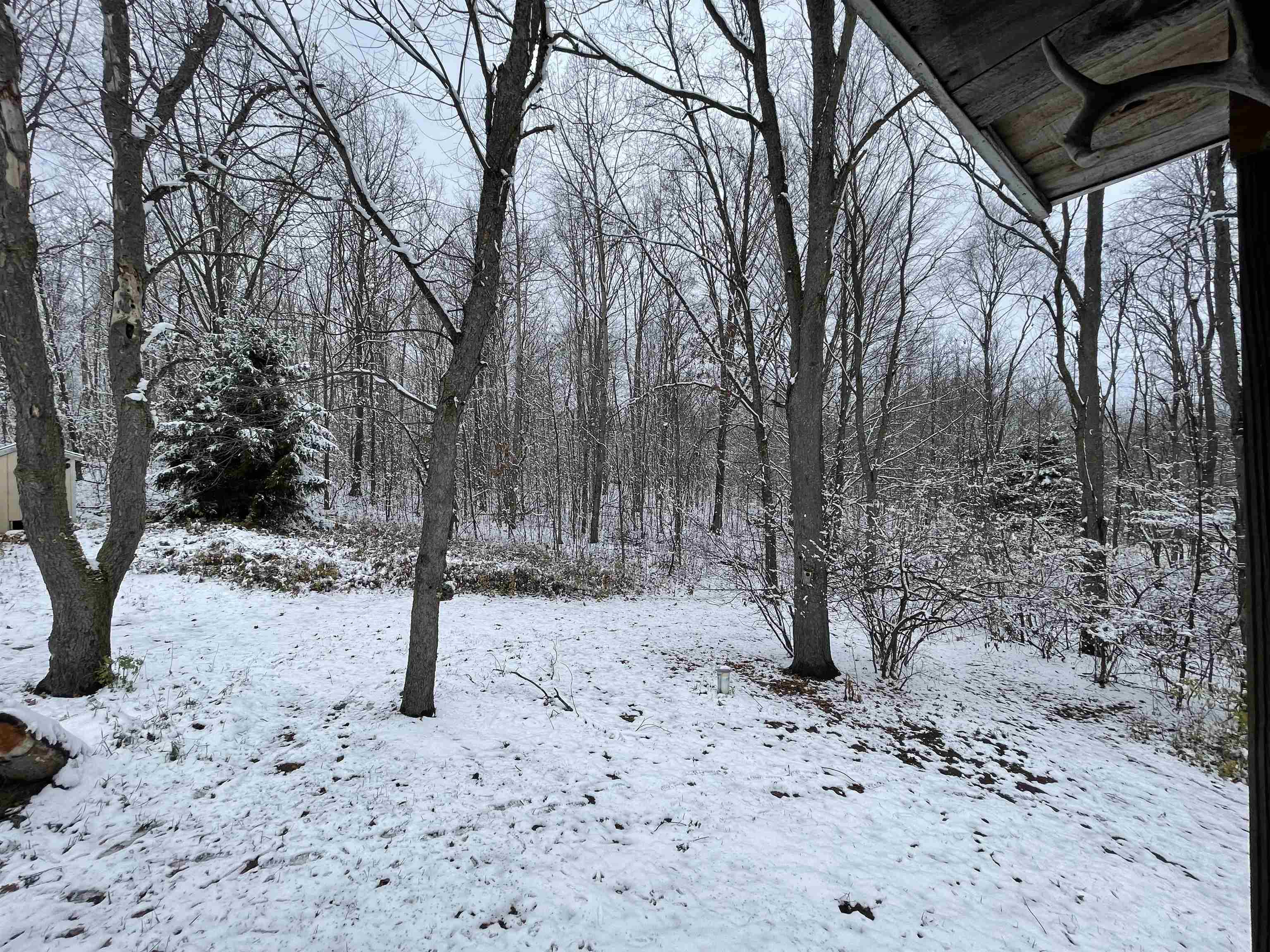 7454 West Maple Grove Road Lake, MI 48632 - Photo 30 of 30 1906739-29.JPG