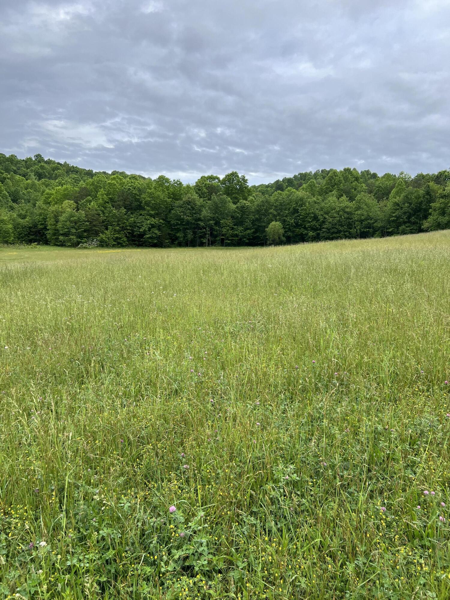 0 Eberle Road McKee, KY 40447 - Photo 7 of 12 IMG_2887