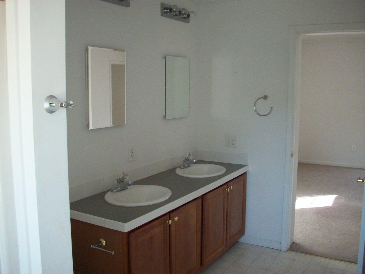 688 Morewood Road Hardy, VA 24101 - Photo 4 of 9 Master Bath