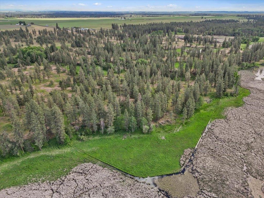 Nka South Malloy Prairie Road, Unit PARCEL A 03032 9048 Cheney, WA 99004 - Photo 5 of 8