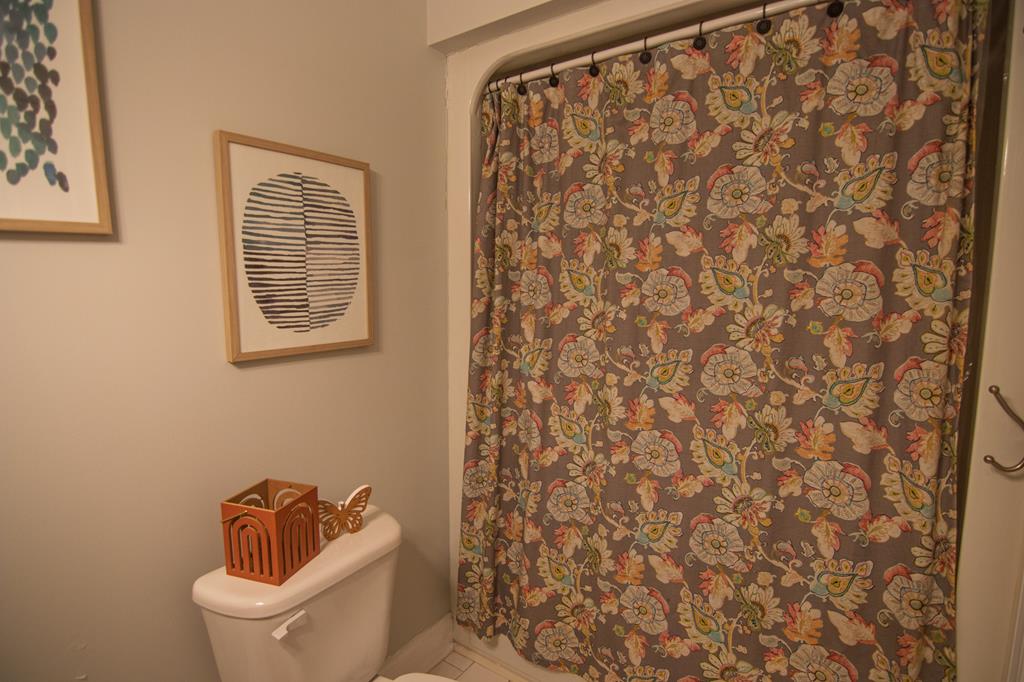 60 Roseanne Loop Hamilton, GA 31811 - Photo 37 of 54 a toilet sitting next to a shower curtain