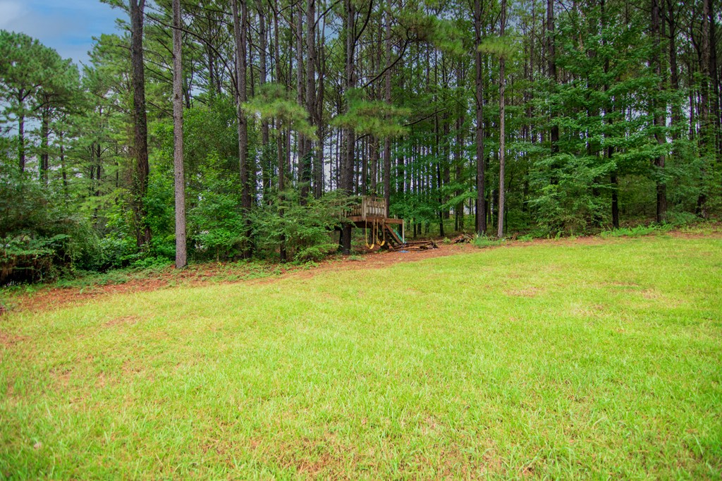 60 Roseanne Loop Hamilton, GA 31811 - Photo 51 of 54 a backyard of a house with plants and large trees