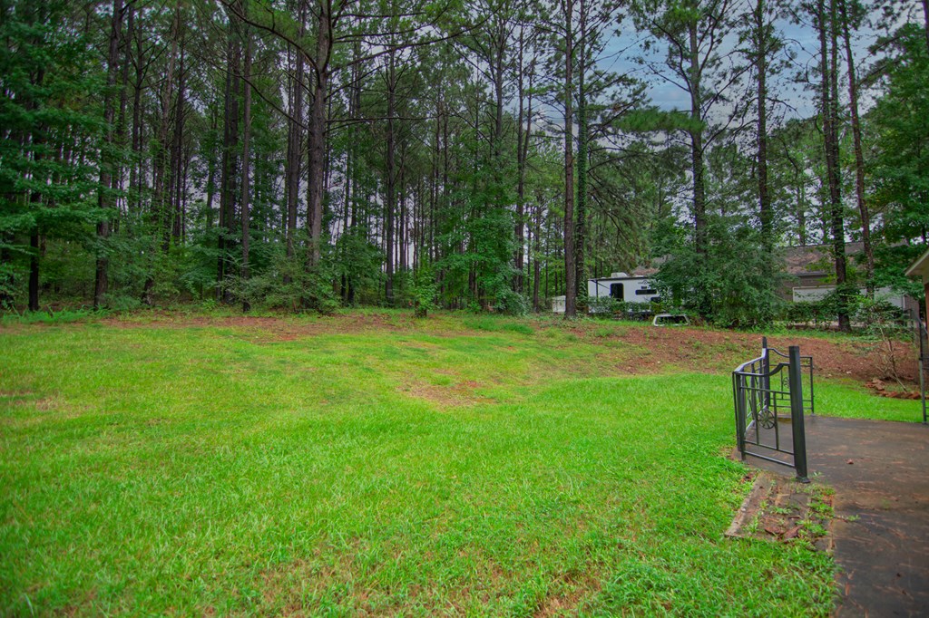 60 Roseanne Loop Hamilton, GA 31811 - Photo 52 of 54 a view of a park with trees in the background