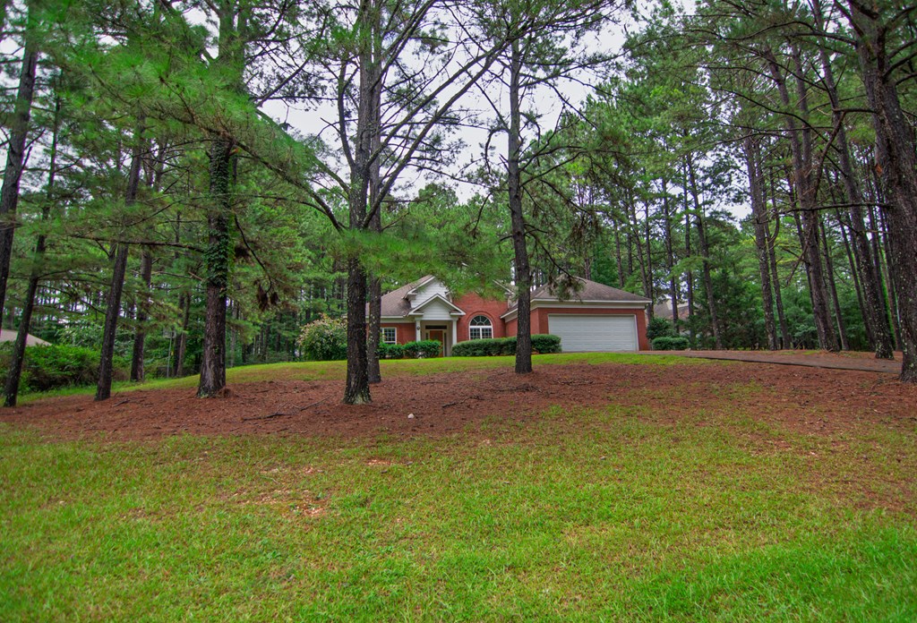 60 Roseanne Loop Hamilton, GA 31811 - Photo 54 of 54 a view of outdoor space with playground and green space