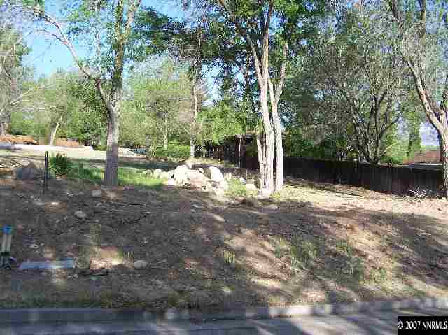 a view of a yard with large tree
