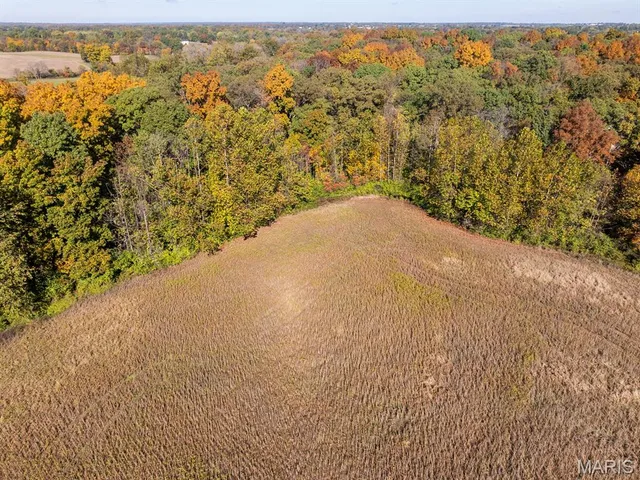 $385,000 | 0 Doe Creek Trail, Waterloo, IL 62298