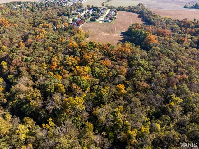 $385,000 | 0 Doe Creek Trail, Waterloo, IL 62298