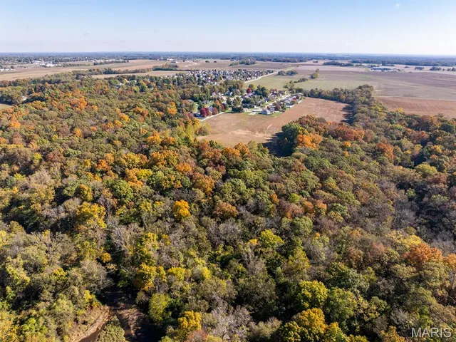 $385,000 | 0 Doe Creek Trail, Waterloo, IL 62298