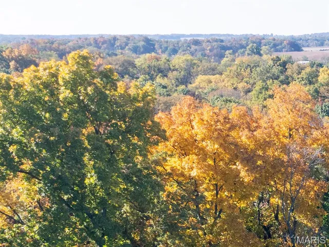 $385,000 | 0 Doe Creek Trail, Waterloo, IL 62298