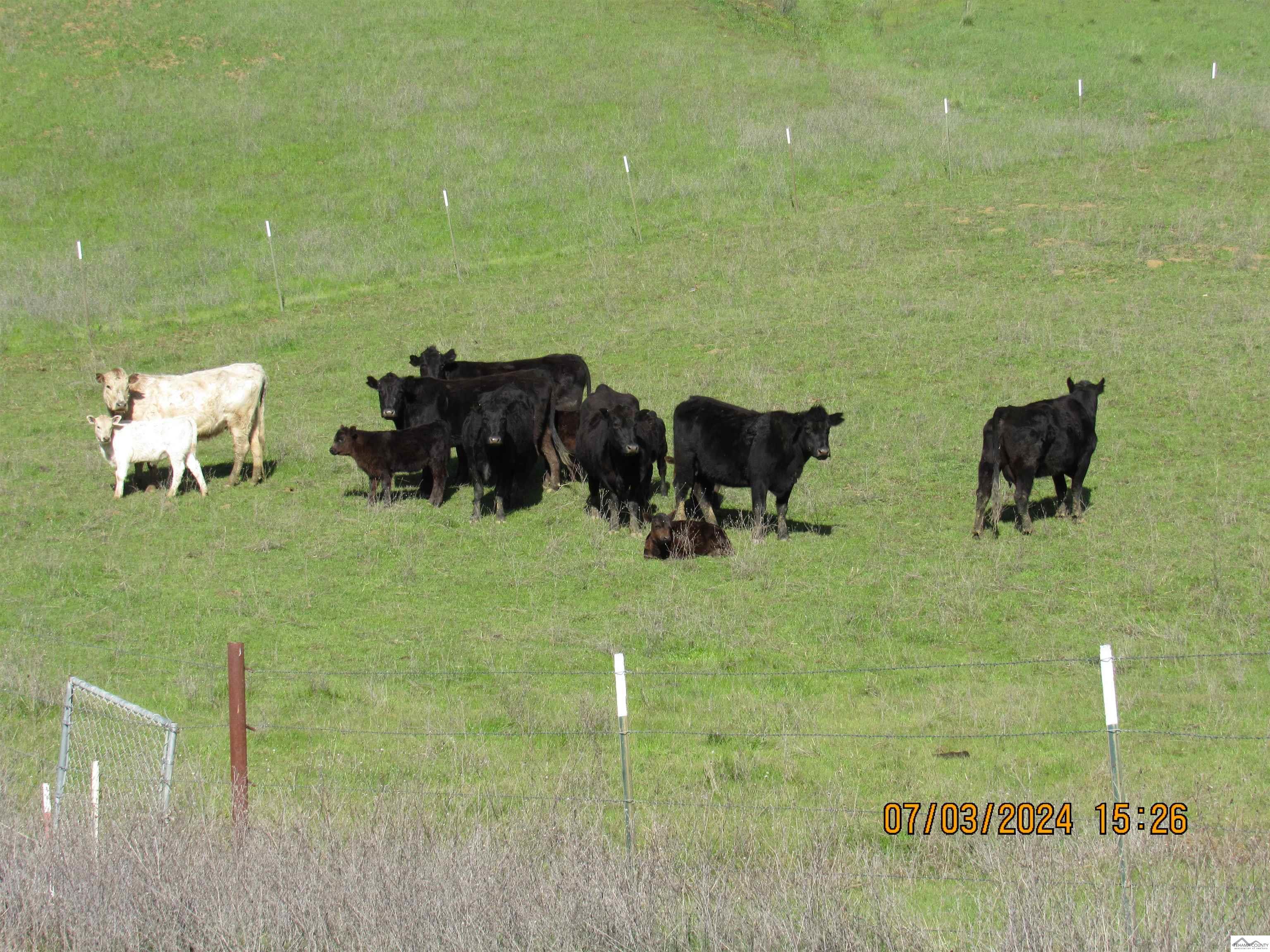 12755 Mccarty Creek Road Red Bluff, CA 96074 - Photo 11 of 28