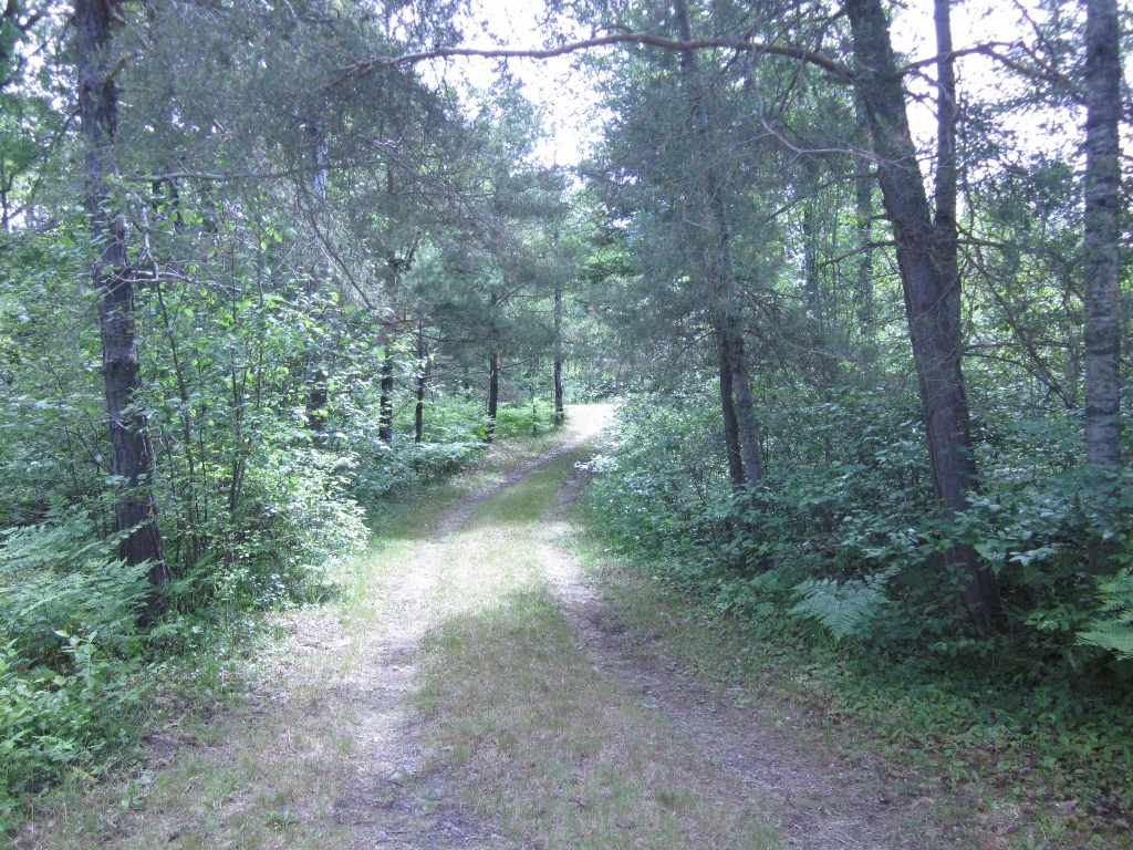 5117 Sunset Trail Road Northeast Kalkaska, MI 49646 - Photo 34 of 35 1829406-33.JPG