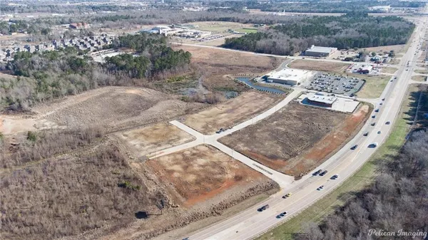 a view of a dry yard with trees