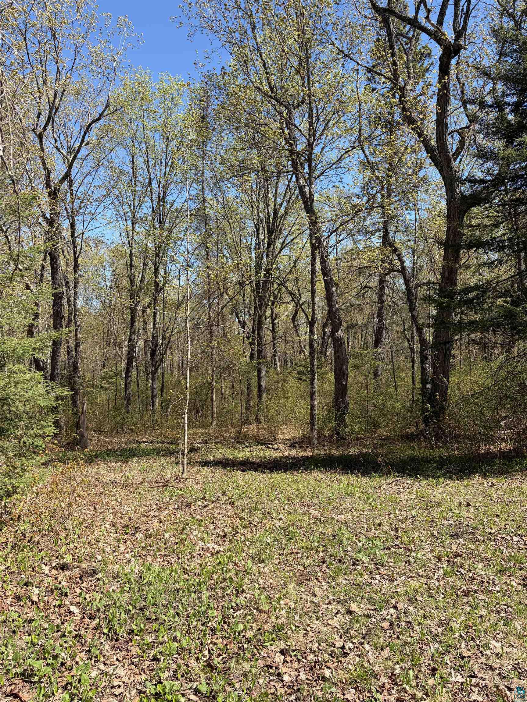 4715 Heffelfinger Road Finland, MN 55603 - Photo 27 of 31