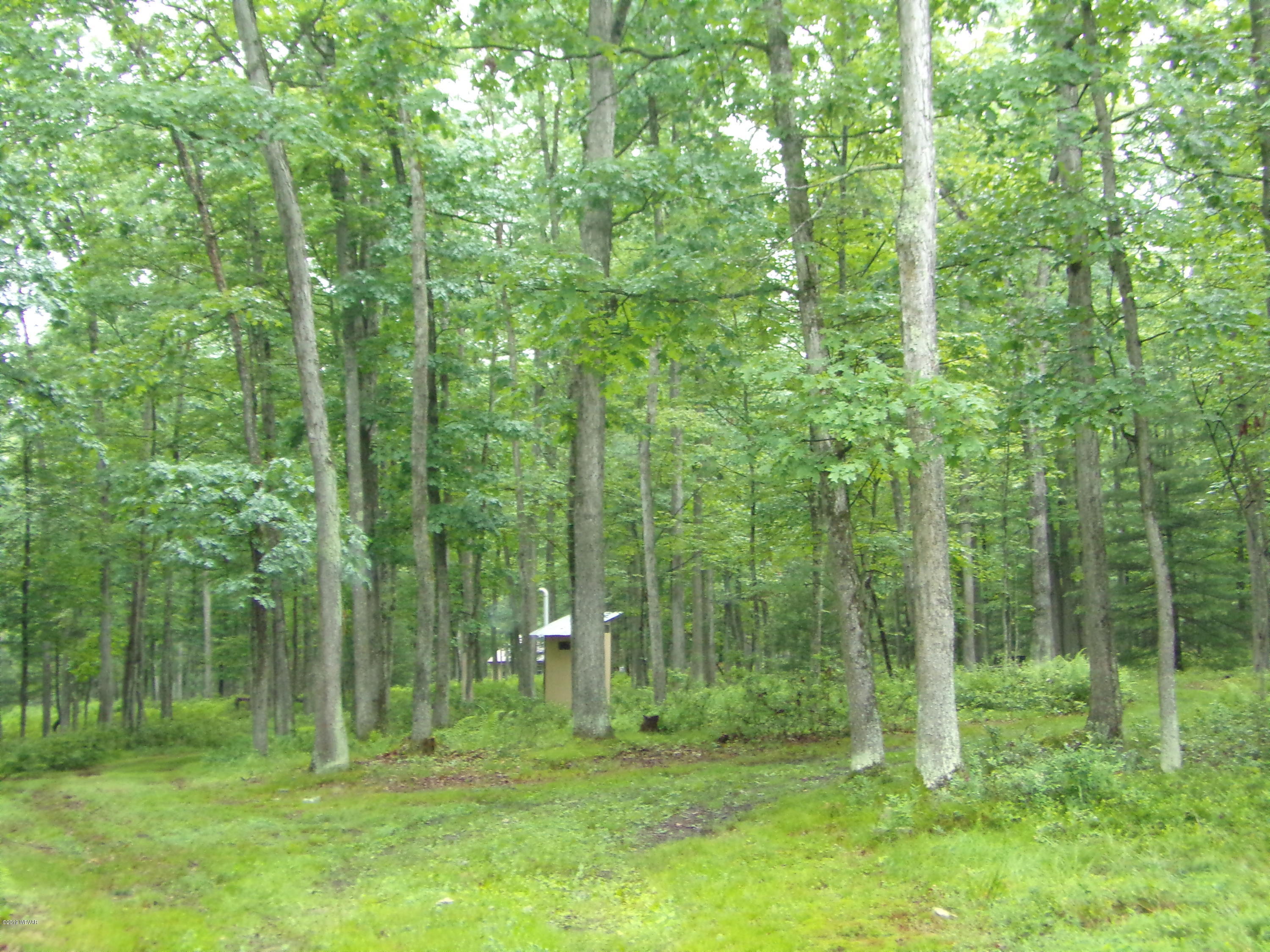 285 Hickory Ridge Road Mill Hall, PA 17751 - Photo 27 of 31 123_5489