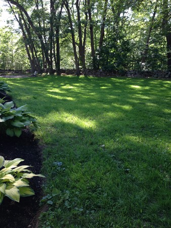 3 Pingree Farm Road Georgetown, MA 01833 - Photo 26 of 28 a backyard of a house with lots of green space