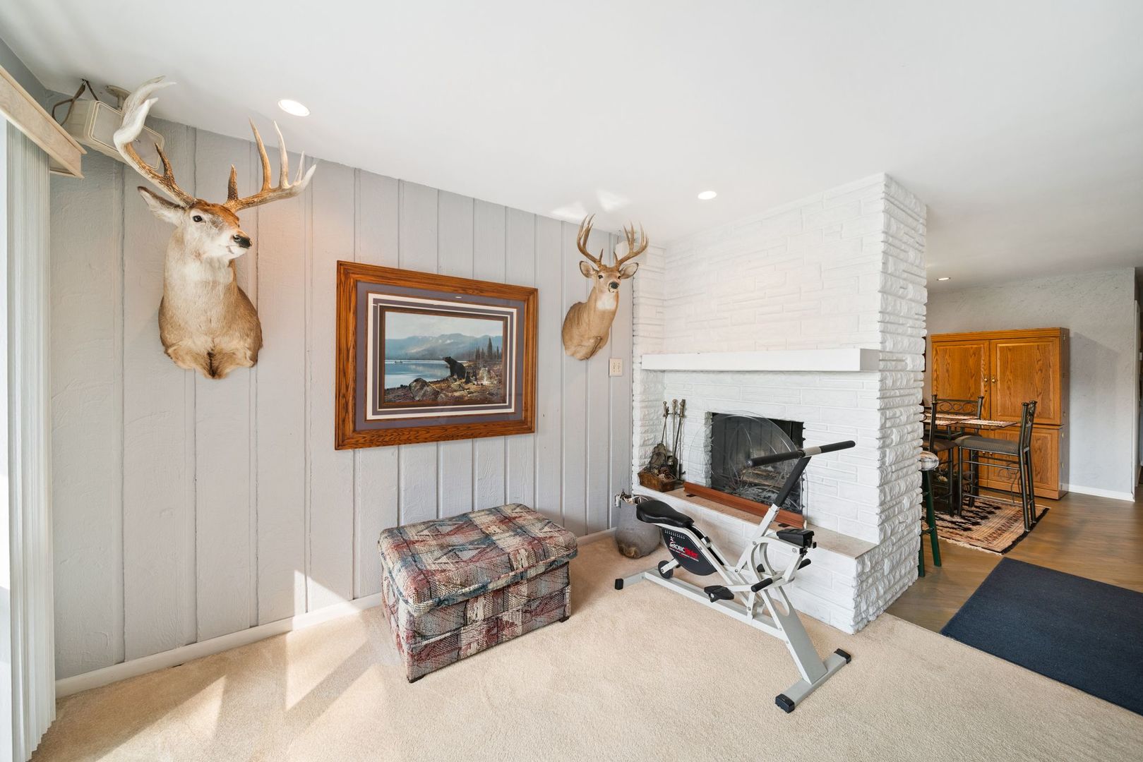 1515 North River Road McHenry, IL 60051 - Photo 6 of 27 a living room with furniture a couch and a fireplace