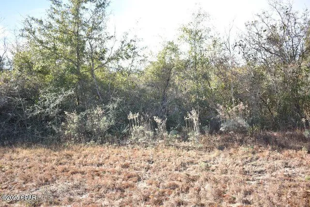 $7,000 | 0 Laredo Drive, Chipley, FL 32428