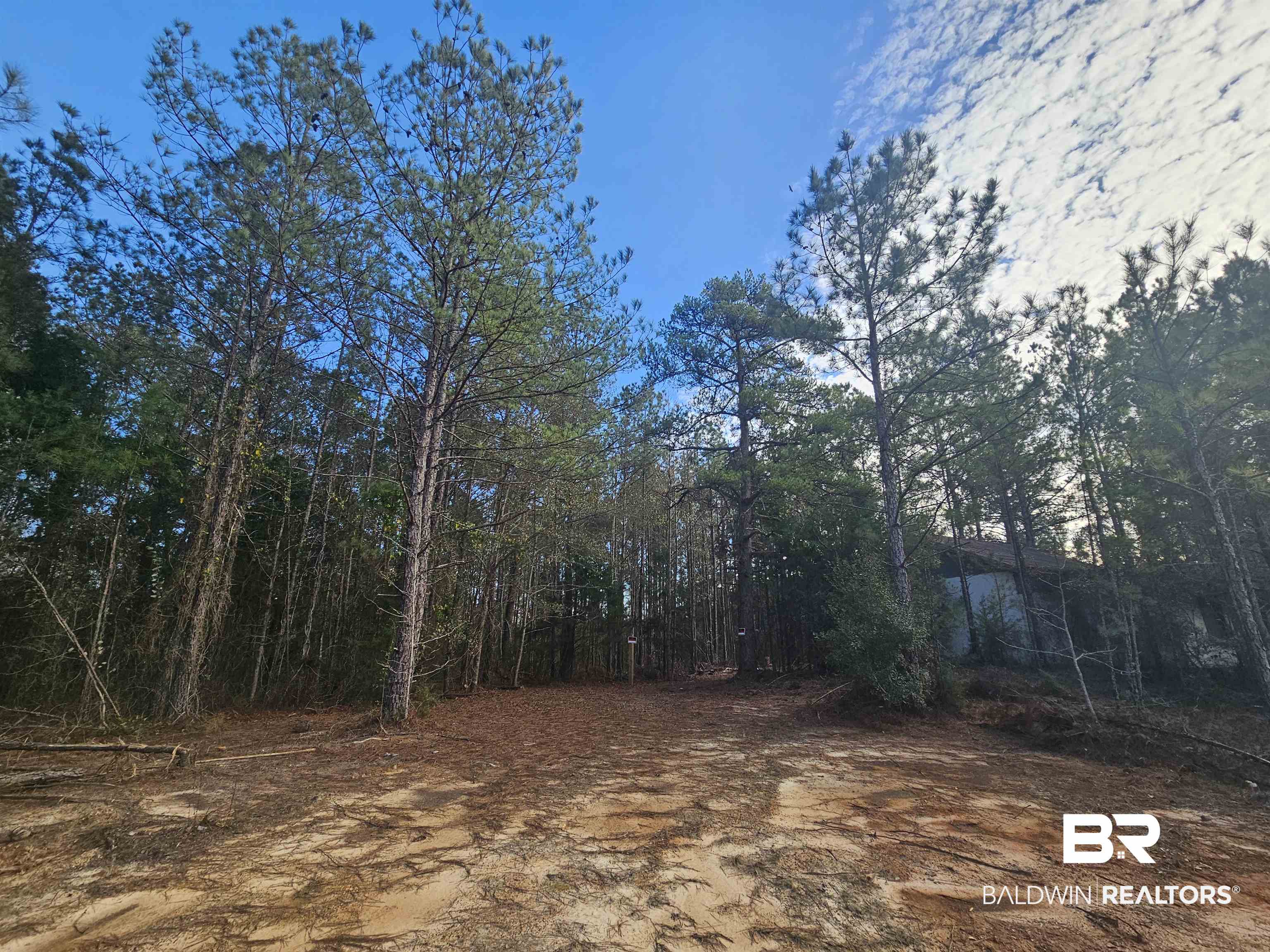 500 Owassa Road Evergreen, AL 36401 - Photo 3 of 5 View of yard featuring a wooded view