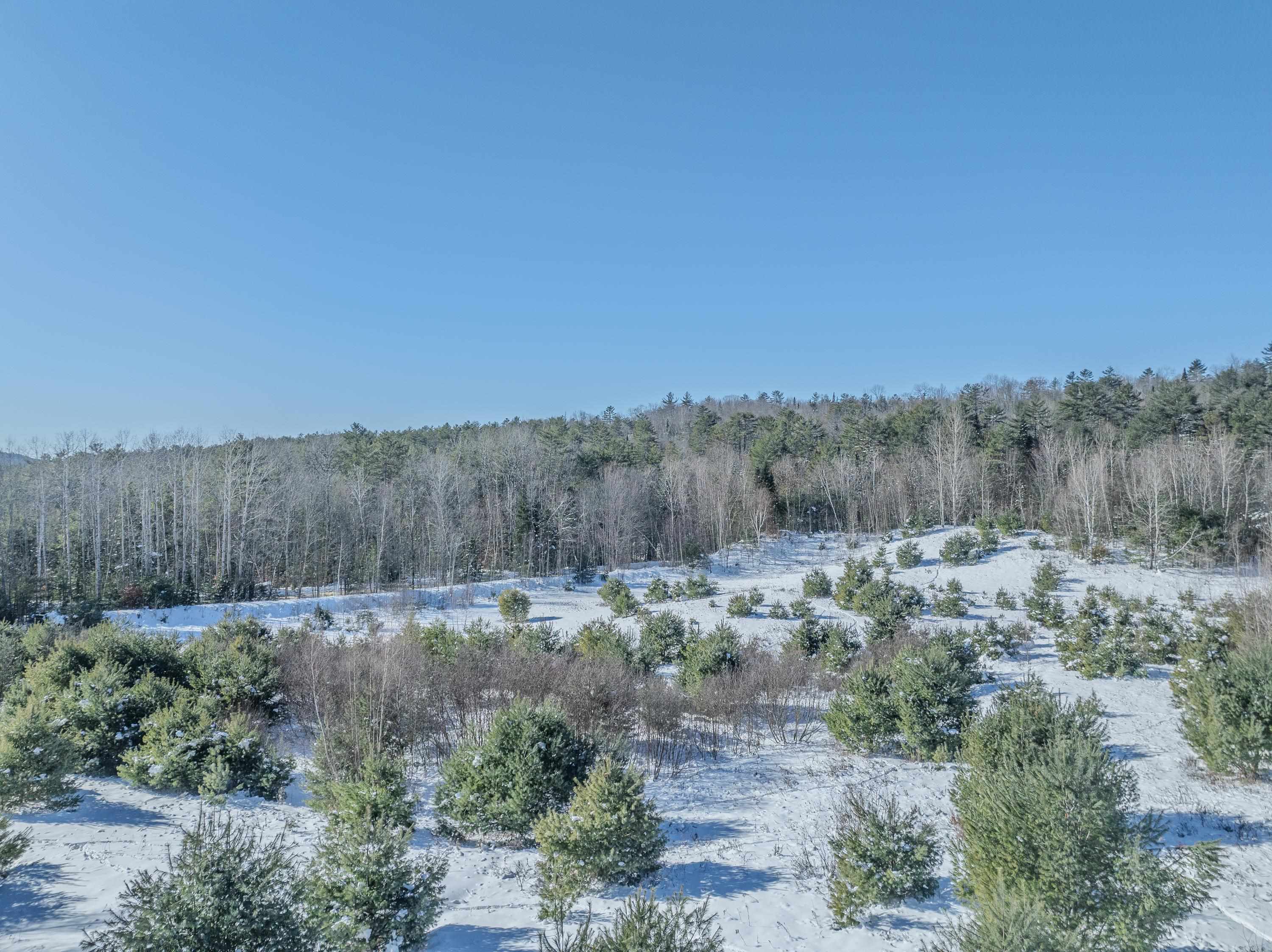 3 Catterall Road, Unit 3 Lisbon, NH 03585 - Photo 19 of 19