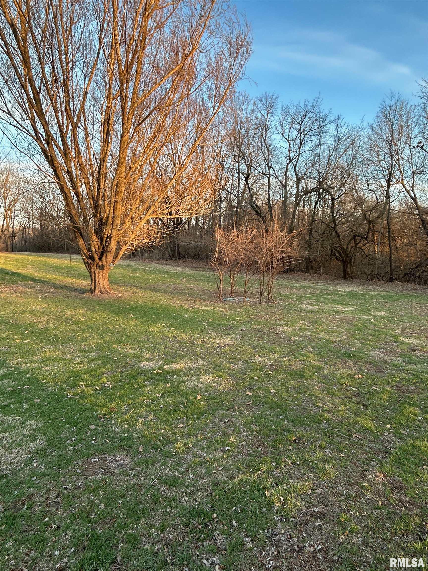 180 Etherton Lane Springfield, IL 62712 - Photo 3 of 56