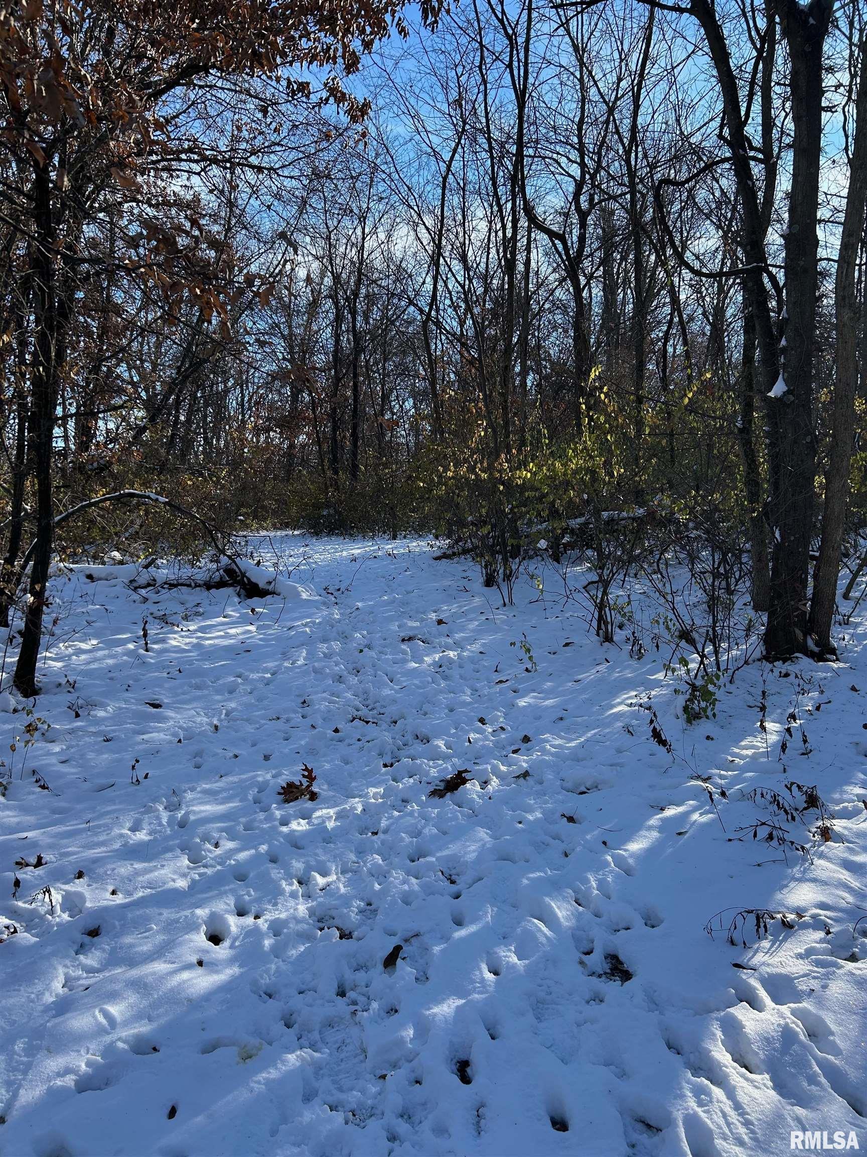 180 Etherton Lane Springfield, IL 62712 - Photo 53 of 61