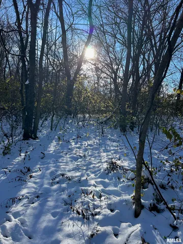 $400,000 | 180 Etherton Lane, Springfield, IL 62712