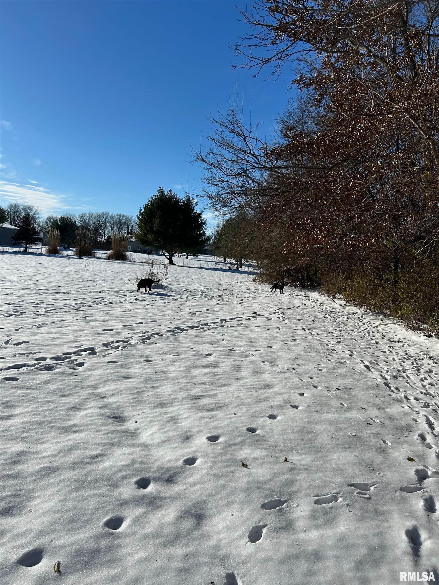 180 Etherton Lane Springfield, IL 62712 - Photo 56 of 61