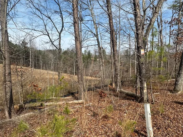 $195,000 | Lot 61 Hardwood Pointe Dr Union, West Union, SC 29696