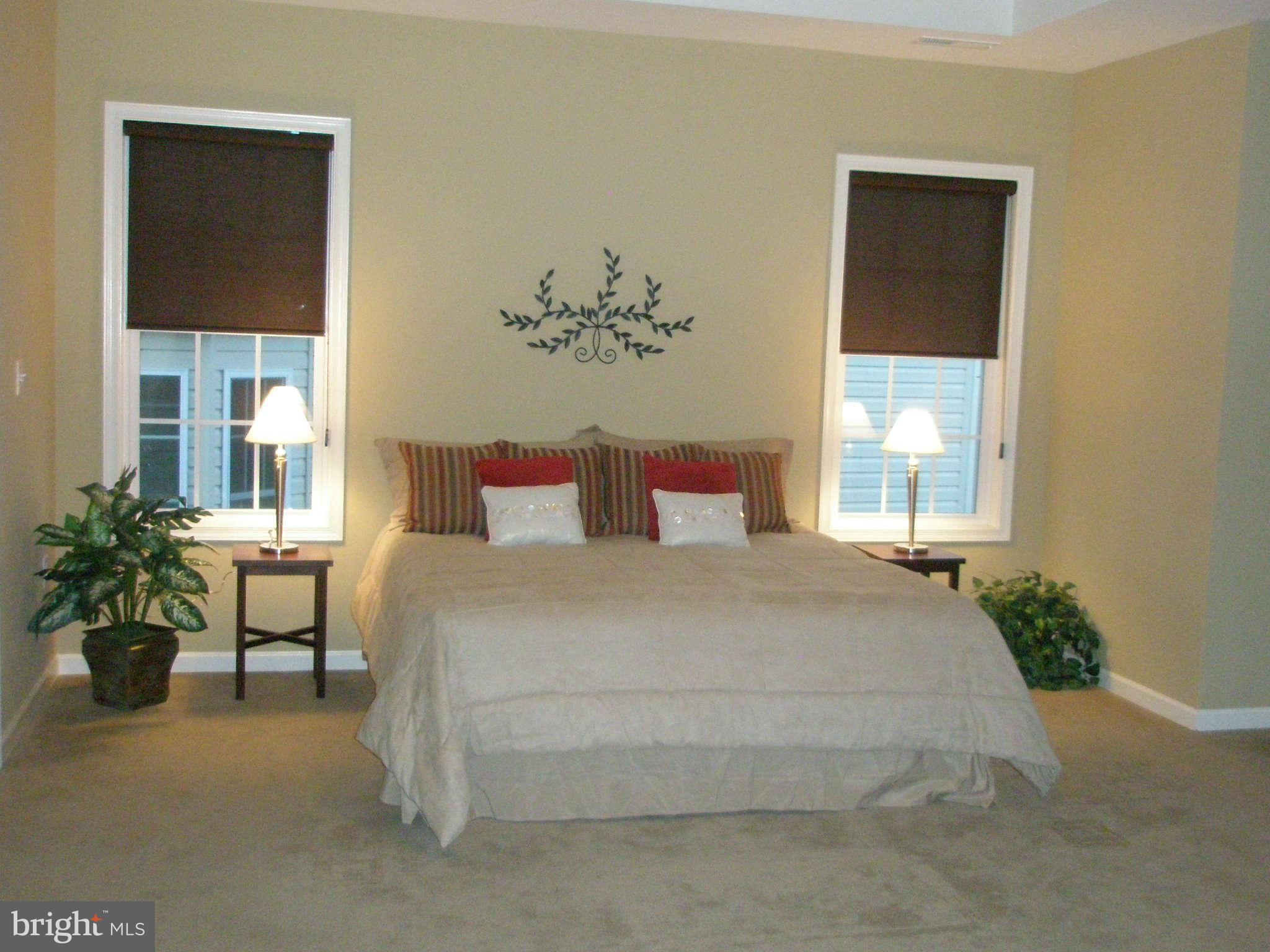 13233 Moonlight Trail Drive Silver Spring, MD 20906 - Photo 20 of 29 Master bedroom with tray ceilings