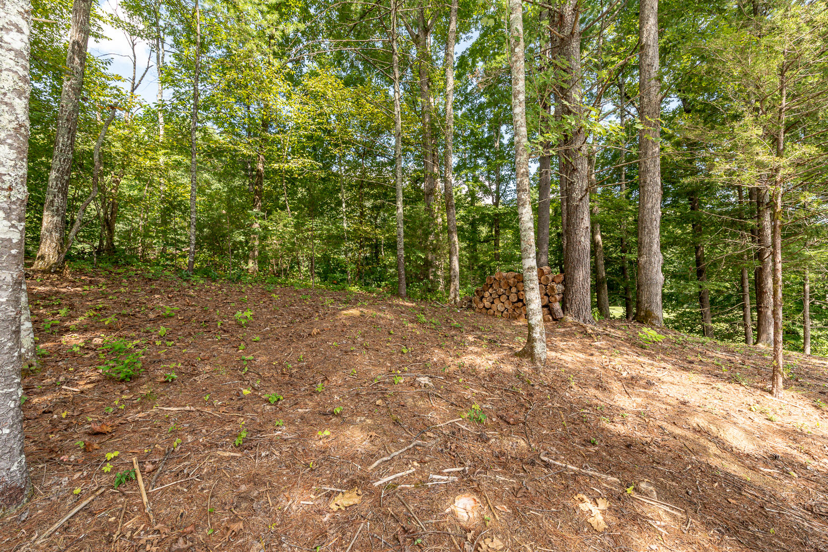 815 Hunters Run Road, Unit 2 Townsend, TN 37882 - Photo 26 of 33 DSC_2437