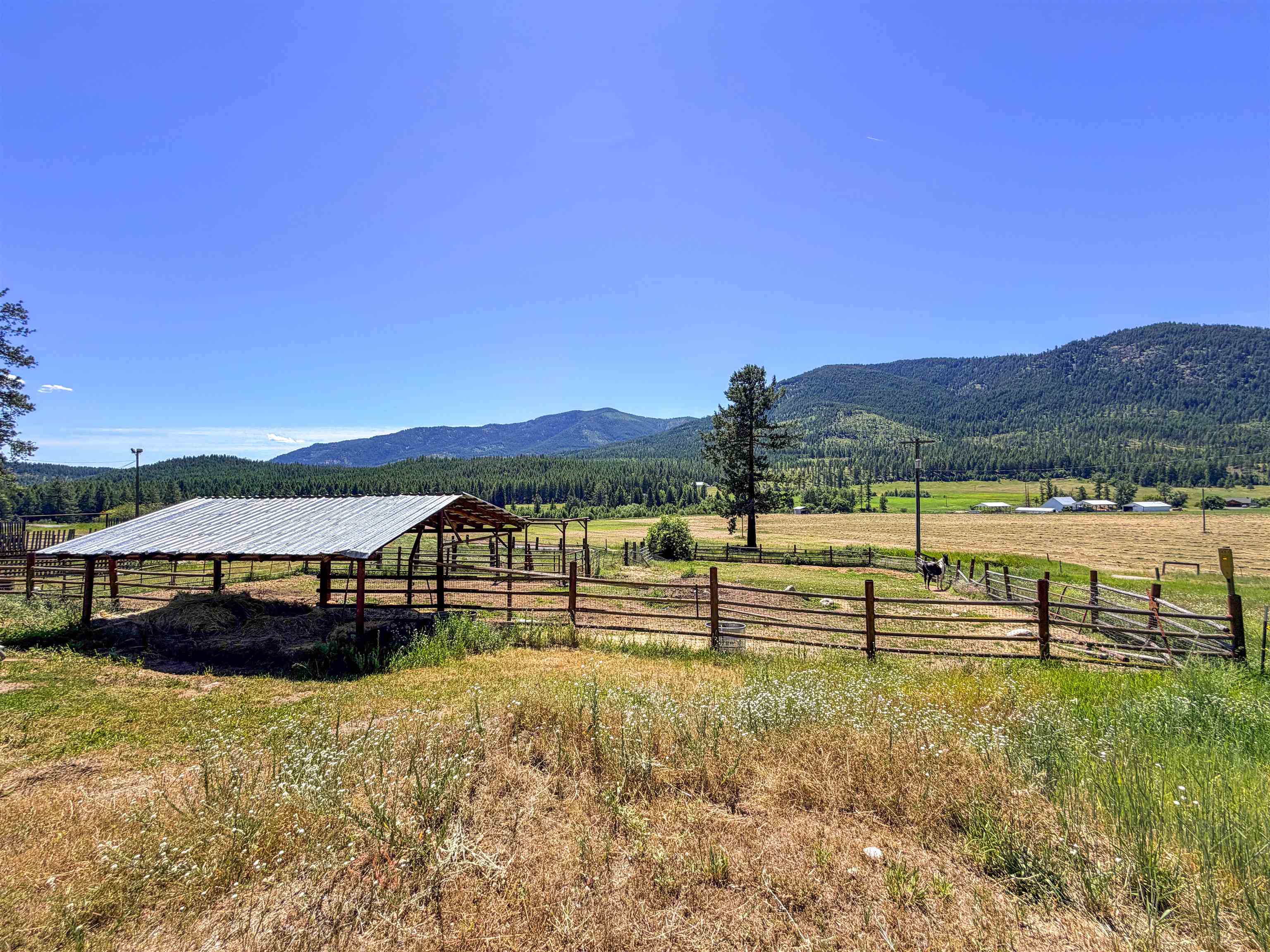 2098 Marble Valley-Basin Road Addy, WA 99101 - Photo 3 of 50
