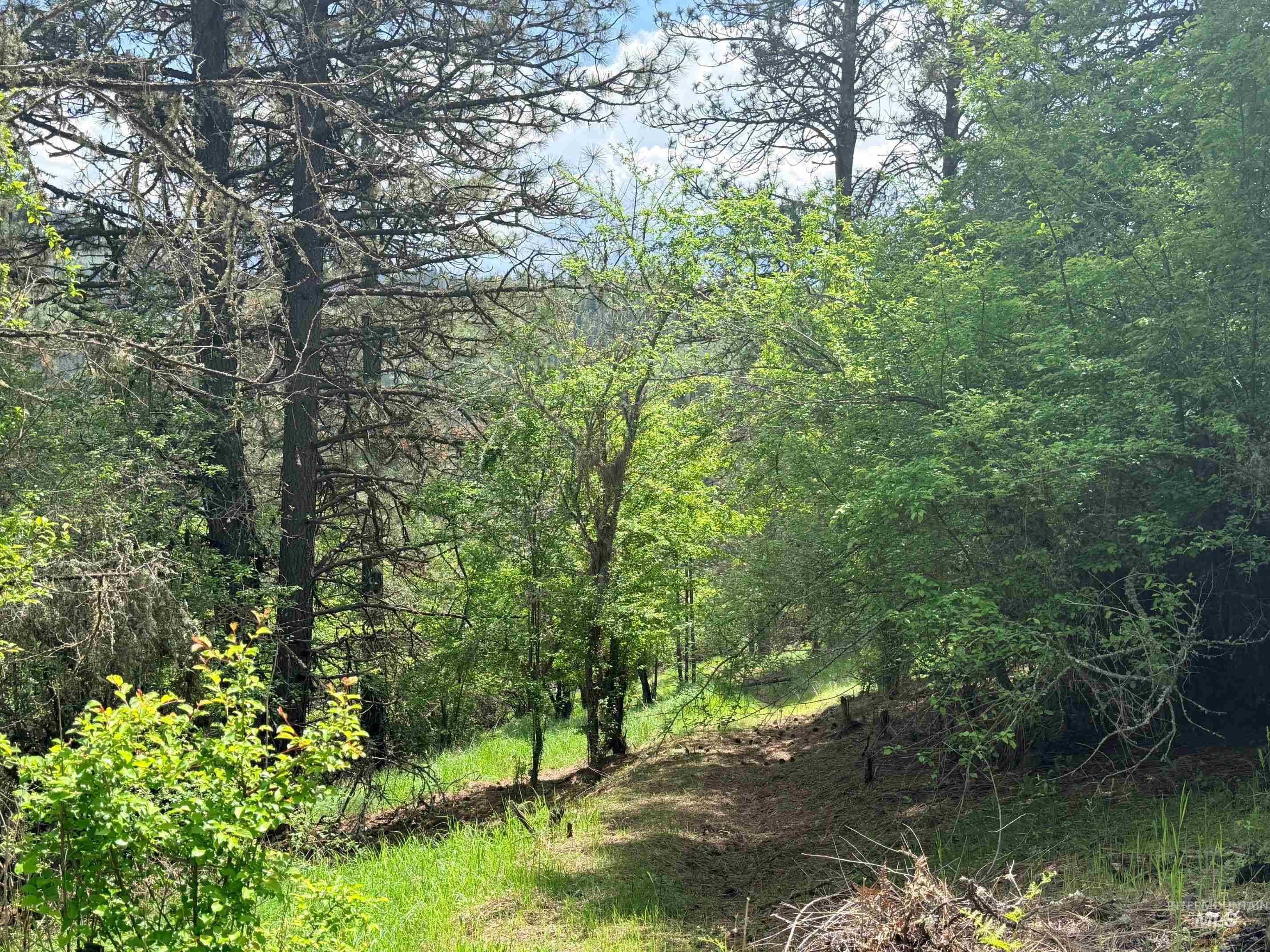 620 Old Peck Grade Lenore, ID 83541 - Photo 31 of 45