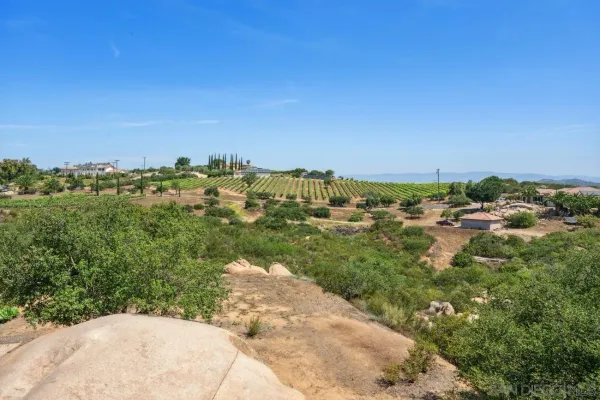 a view of a cafe with a table and chairs under an umbrella