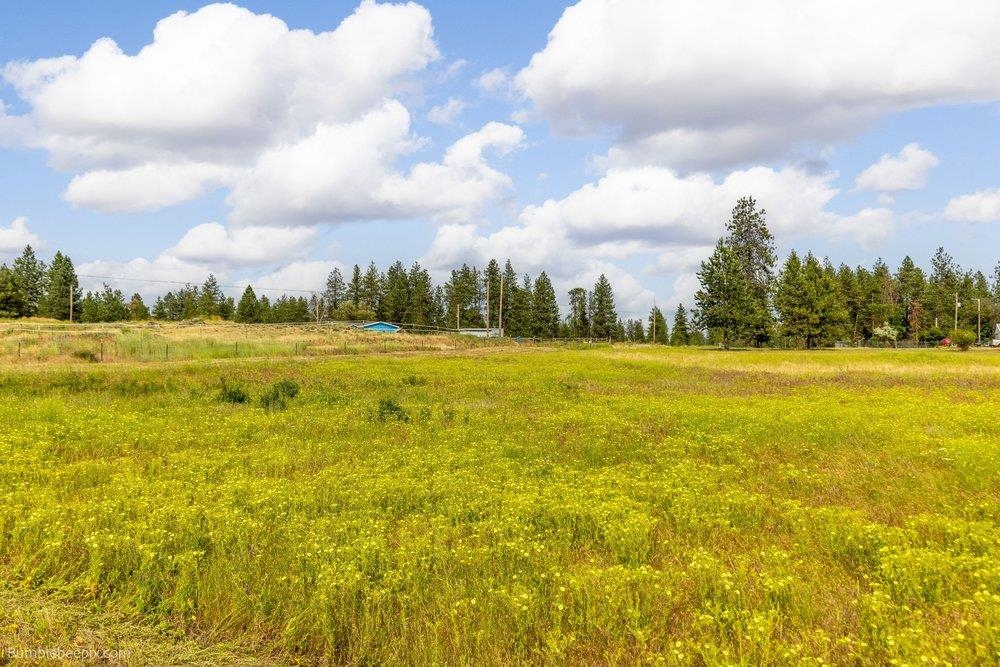 Nna West Lincoln Road Spokane, WA 99224 - Photo 13 of 19